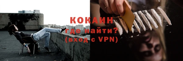 ГАЛЛЮЦИНОГЕННЫЕ ГРИБЫ Няндома