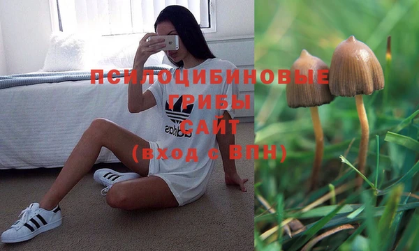 марихуана Осташков