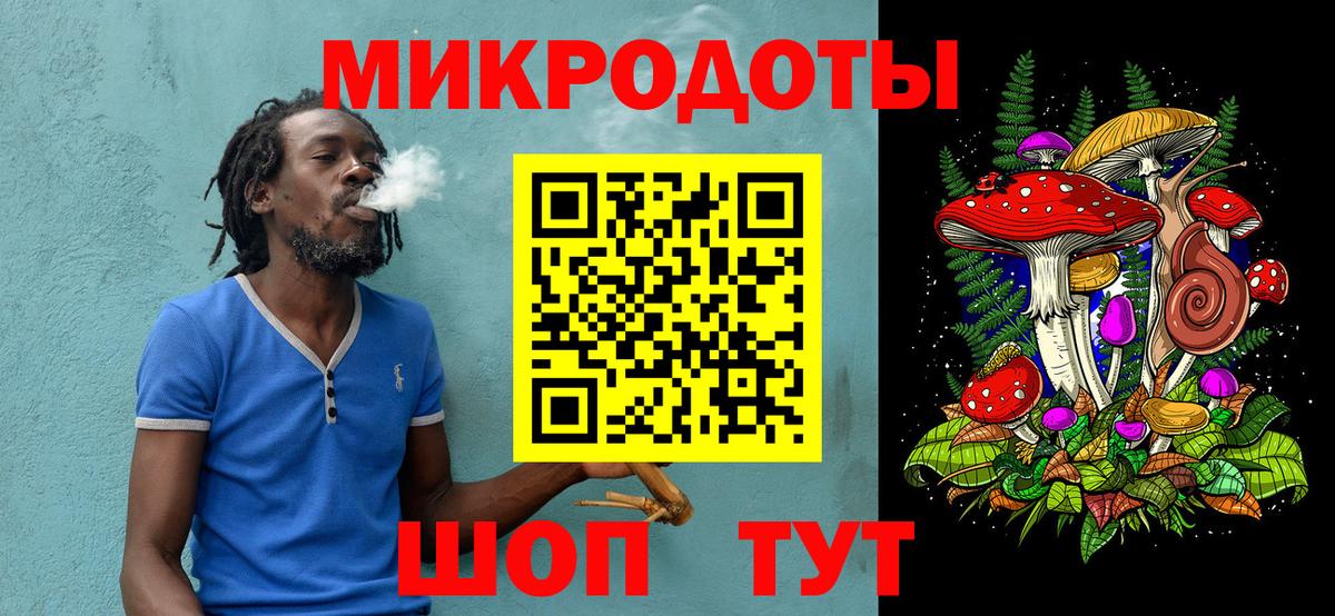 Галлюциногенные грибы Psilocybe  Ишимбай  Псилоцибиновые грибы MAGIC MUSHROOMS 