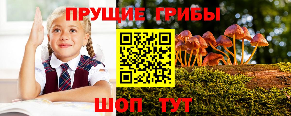 Галлюциногенные грибы ЛСД Ишимбай