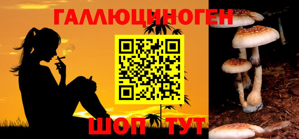 даркнет сайт  Псилоцибиновые грибы Magic Shrooms  Вход с VPN  Ишимбай 